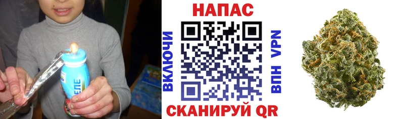 Бошки марихуана планчик продажа наркотиков Светлый
